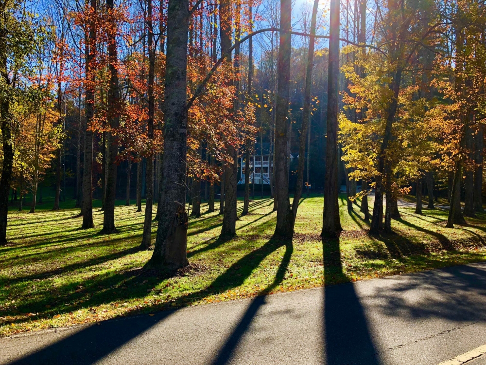 The River House in Brevard The River House For Sale