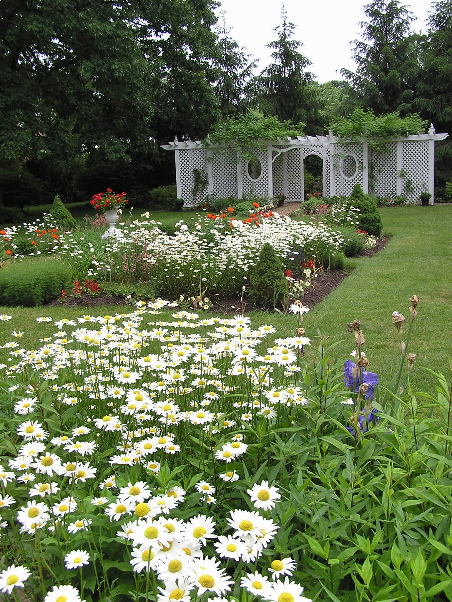 Manor Inn B & B in Norwalk Manor Inn B & B For Sale