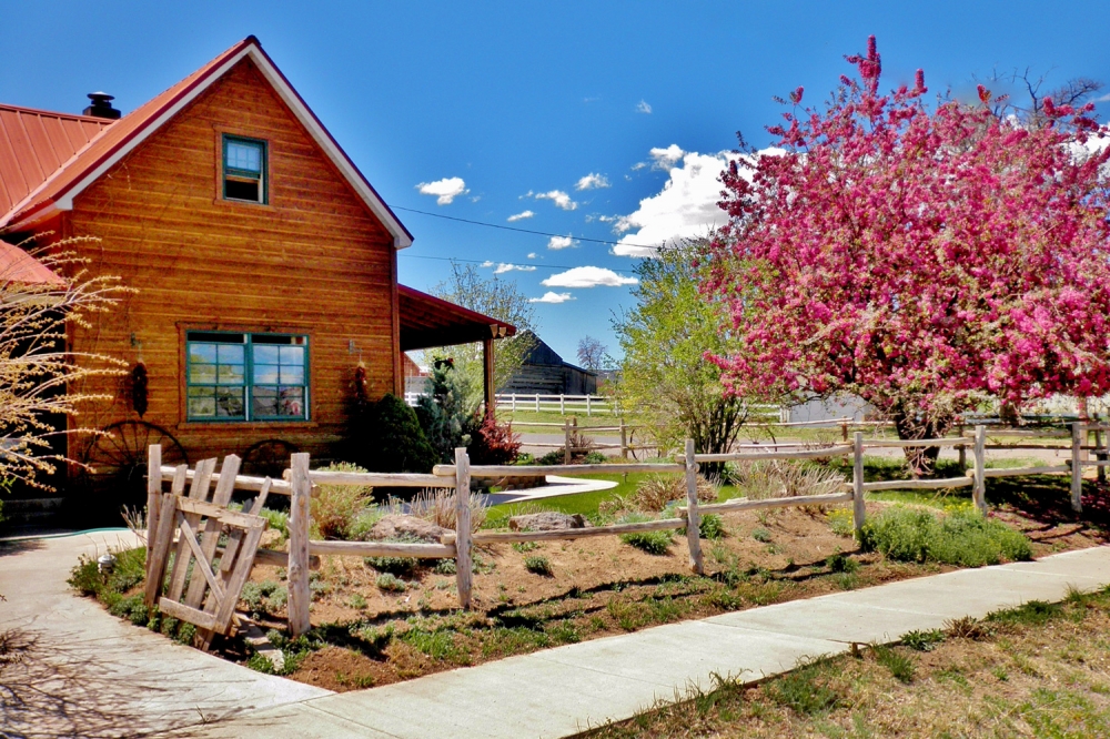 Canyons Bed & Breakfast in Escalante Canyons Bed & Breakfast For Sale